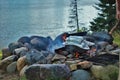 Cooking corn on a camp fire next to the lake Royalty Free Stock Photo