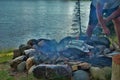 Cooking corn on a camp fire next to the lake Royalty Free Stock Photo