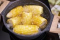 Cooking corn cob in a pot of boiling water with bubbles Royalty Free Stock Photo