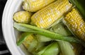 Cooking corn with leaves in a saucepan. Raquel variety, sweet instant corn. Healthy lunch in summer.