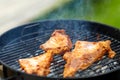 Close up of barbecue meat roasting on grill Royalty Free Stock Photo