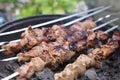 Cooking delicious kebab on metal brazier outdoors, closeup