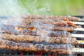 Cooking delicious Turkish Adana Kebab on a portable charcoal grill at a picnic location, Royalty Free Stock Photo