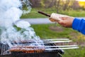 Cooking delicious Turkish Adana Kebab on a portable charcoal grill at a picnic location, Royalty Free Stock Photo