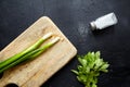 Cooking dinner. Wooden cutting board, herb ingredients on stone table. Fresh mint leaves, scallion (green onion) Royalty Free Stock Photo