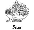 Cooking dish salad simple drawing sketch doodle