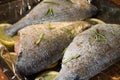 Cooking dorado fish with lemon and spices