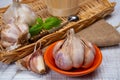 Cooking with dried French garlic. Red garlic. Violet garlic