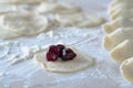 Cooking dumplings with cherries. Royalty Free Stock Photo