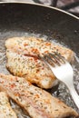 Cooking fish Royalty Free Stock Photo