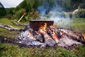 Cooking fish on a fire