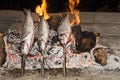 Cooking fish grilled Royalty Free Stock Photo