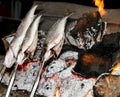 Cooking fish grilled over hot coals bonfire Royalty Free Stock Photo