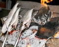 Cooking fish grilled over hot coals bonfire Royalty Free Stock Photo