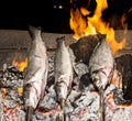 Cooking fish grilled over hot coals bonfire Royalty Free Stock Photo