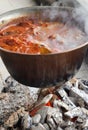 Cooking Fish Soup Royalty Free Stock Photo