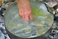 Cooking fish-soup 3 Royalty Free Stock Photo