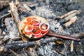 Cooking food on an open fire in nature. Royalty Free Stock Photo