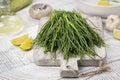 Cooking Fresh Agretti or barba dei frati, edible green plant. Saltwort