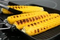 Cooking fresh corn cobs on grill pan Royalty Free Stock Photo