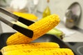 Cooking fresh corn cobs on grill pan, closeup Royalty Free Stock Photo