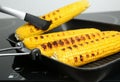 Cooking fresh corn cobs on grill pan Royalty Free Stock Photo