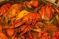 Cooking freshwater crayfish in a pan. Crayfish boil in boiling water, close-up. Cooking crayfish in boiling water
