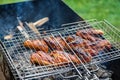 Cooking fried chicken wings on coals in grill Royalty Free Stock Photo