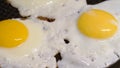 Cooking fried eggs in a pan. Three egg whites and yolks. Omelet for breakfast. Royalty Free Stock Photo