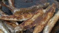 Cooking frying and stirring capelin fish fried in black pan. Close-up view of chef stirs roasted caplin fish with wooden