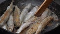 Cooking frying and stirring capelin fish fried in iron pan. Close-up view of chef stirs roasted caplin fish with wooden