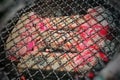 Cooking grate above flaming heat charcoal. Royalty Free Stock Photo