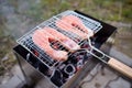 Cooking grilled red fish steak in the backyard. Juicy slices of salmon on the grille of grill cook on an open fire over coals Royalty Free Stock Photo