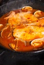 Cooking hake in sauce Royalty Free Stock Photo