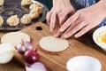 Cooking healthy vegetarian dish. Woman hands making steam dumplings momo Royalty Free Stock Photo