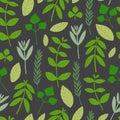 Cooking herbs seamless pattern. Flat hand drawn spicy cooking ingredients.