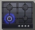 Cooking hob