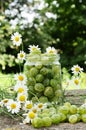 Cooking homemade gooseberry jam Royalty Free Stock Photo