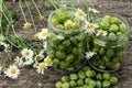 Cooking homemade gooseberry jam Royalty Free Stock Photo