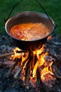 Cooking hungarian paprika potatoes