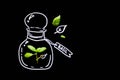 Cooking ingredient basil inside of hand drawing container on black background. Isolated, free copy space. Top view. Concept of