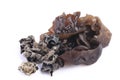 Cooking ingredient series black fungus. for adv etc. of restaurant,grocery,and others