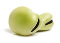 Cooking ingredient series broad bean. for adv etc. of restaurant,grocery,and others