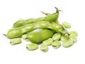 Cooking ingredient series broad bean. for adv etc. of restaurant,grocery,and others