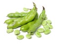 Cooking ingredient series broad bean. for adv etc. of restaurant,grocery,and others