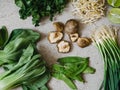 Cooking ingredients for Asian dishes on gray concrete background Royalty Free Stock Photo