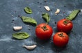 Basil Leaves, tomato and garlic on concrete background. Royalty Free Stock Photo
