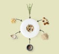 Cooking ingredients for italian risotto with wild mushrooms isolated Royalty Free Stock Photo