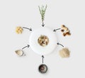 Cooking ingredients for italian risotto with wild mushrooms isolated Royalty Free Stock Photo