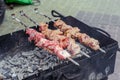 Cooking kebabs on the fire up close. Appetizing kebabs. Meat on a skewer. Barbecue with charcoal